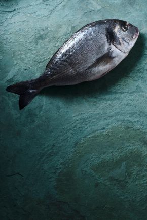 La Daurade royale d'élevage vidée