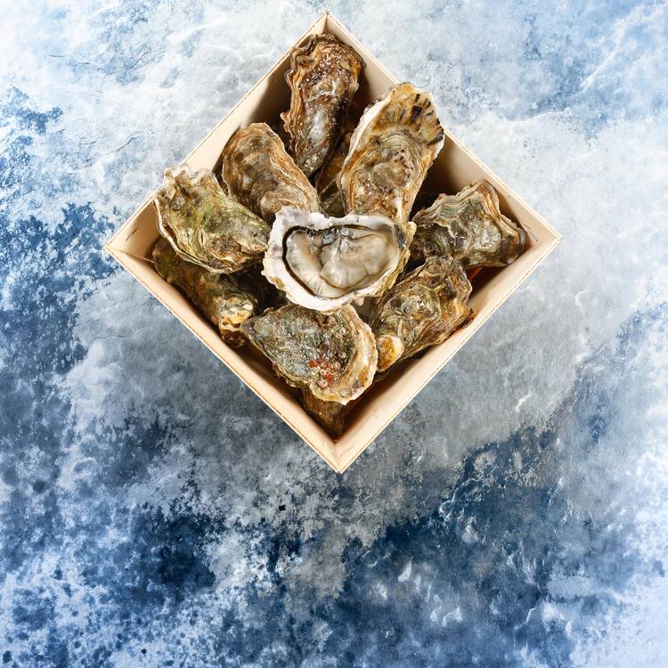 Les 24 Huîtres creuses Spéciales de la baie de Quiberon N°3