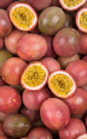 Le Fruit de la passion BIO