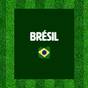 Brésil 🇧🇷