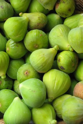 La Figue Verte
