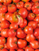 9513 La Tomate cœur de bœuf - Sélection variété ancienne.jpg