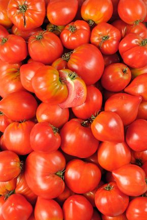 La Tomate cotelée rouge BIO
