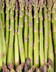 8120_ASPERGES_VERTES.jpg