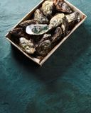 les-24-huitres-fines-de-claire-n-3-label-rouge-igp-marennes-oleron