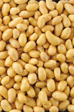 La Pomme de terre baby  Grenaille