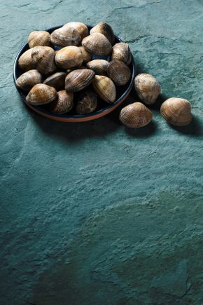 Les Palourdes japonaises