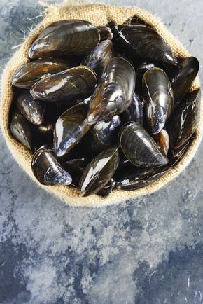 Les Moules de bouchot Label Rouge