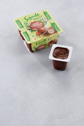 Le Dessert au soja au chocolat BIO