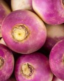 la-rave-ou-navet-violet