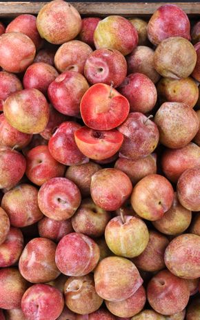 La Prune rouge Lovita BiO