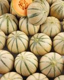 le-melon-charentais-bio