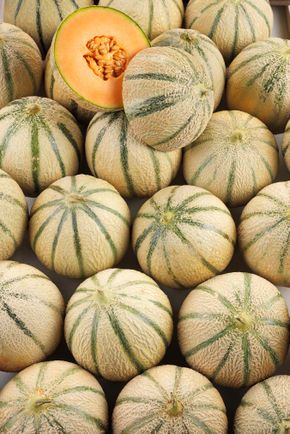 Le Melon charentais jaune