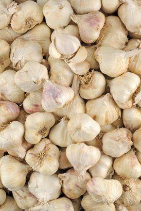L'Ail blanc filet 500g