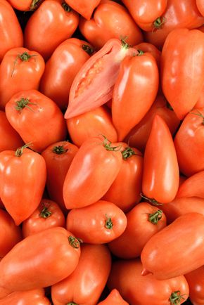 La Tomate cornue andes BIO