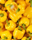le-poivron-jaune-bio