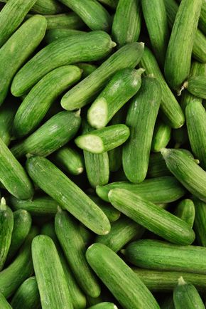 Le Mini concombre BIO