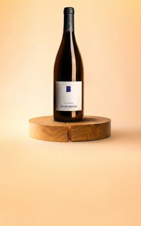 Le Vin rouge "Les Pentes 2024" Cave Bruneau-Dupuy BIO