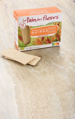 Les Tartines au quinoa BIO