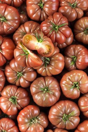 La Tomate côtelée noire BIO