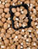8043 Champignon brun en barquette A.jpg
