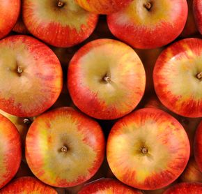 La Pomme reine des reinettes HVE