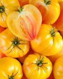 la-tomate-cotelee-jaune-bio