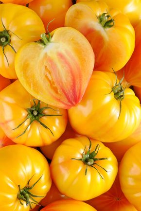 La Tomate cotelée jaune BIO