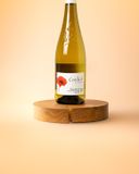 le-saumur-coq-licot-1