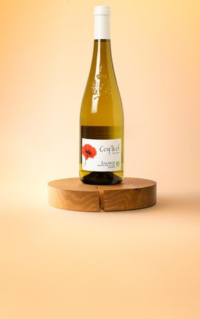 Le Vin blanc "Coq'licot" Saumur BIO et AOP 2023