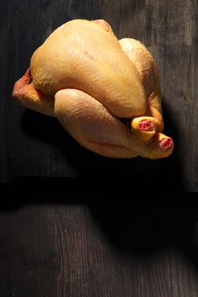 Le Coquelet