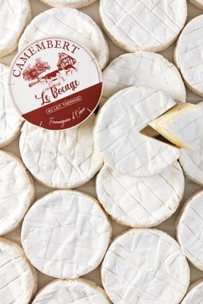 Le Camembert thermisé moulé louche