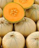 le-melon-selection-philibon-2