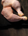 B614 CUISSES DE POULET BLANC X2 2.jpg