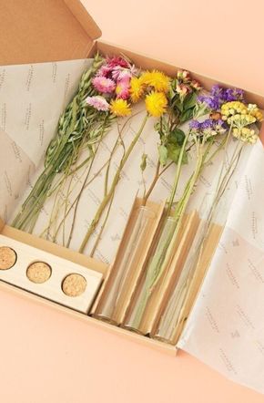 Les Fleurs séchées multicolore avec vase
