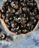 les-bigorneaux-cuits