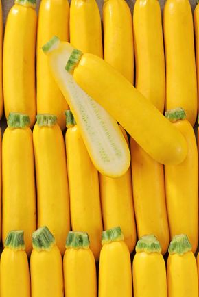 La Courgette jaune BIO