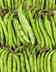 10211 FEVE BIO VRAC KG.jpg
