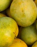 la-mangue-bio