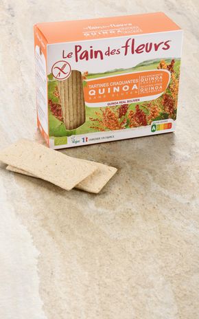Les Tartines au quinoa BIO