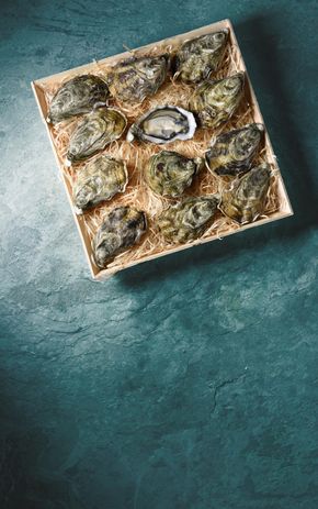 Les 12 huîtres spéciales Maison Blanc "Prestige"