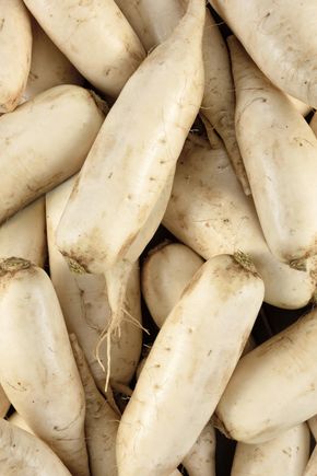 Le Radis blanc BIO