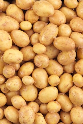 La Pomme de terre grenaille BIO