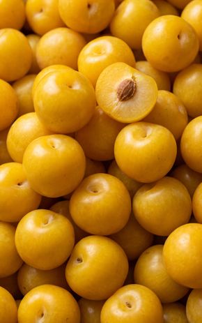La Prune TC sun BIO