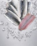 les-filets-de-sardines-2
