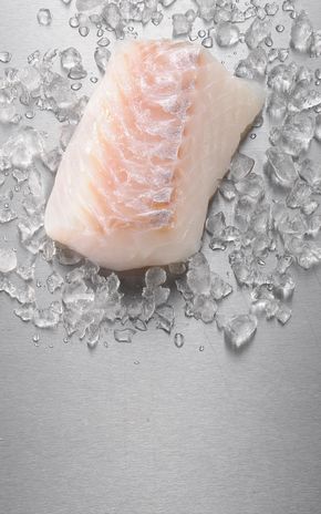 Le Dos de loup de mer