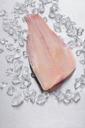 Le Filet de brochet sauvage