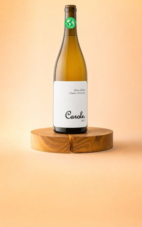 Le Vin blanc "Carole 2025" Maison Ventenac