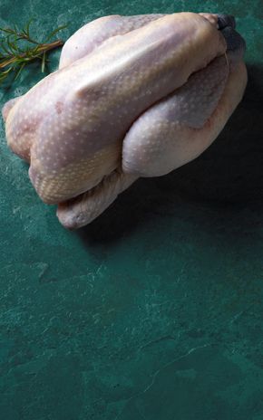 Le Poulet de Bresse AOP