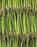 l-asperge-verte-bio